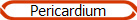 Pericardium